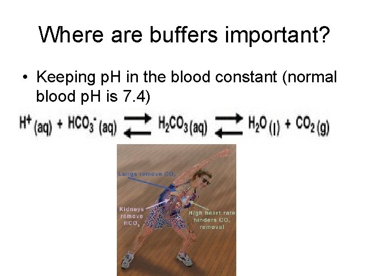 Where are buffers important? • Keeping p. H in the blood constant (normal blood