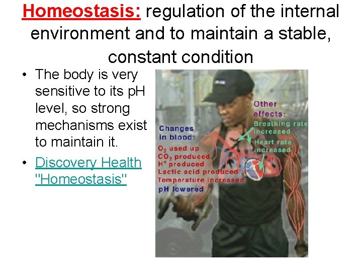 Homeostasis: regulation of the internal environment and to maintain a stable, constant condition •