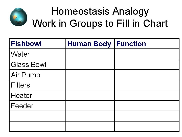 Homeostasis Analogy Work in Groups to Fill in Chart Fishbowl Water Glass Bowl Air