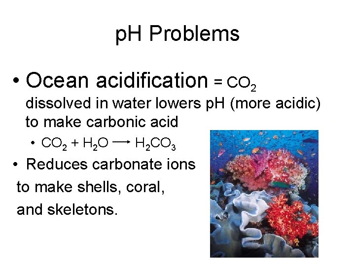 p. H Problems • Ocean acidification = CO 2 dissolved in water lowers p.