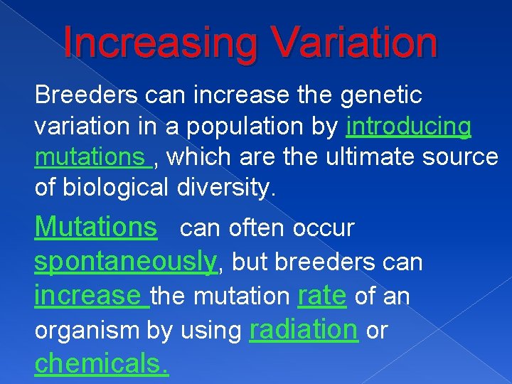 Increasing Variation Breeders can increase the genetic variation in a population by introducing mutations