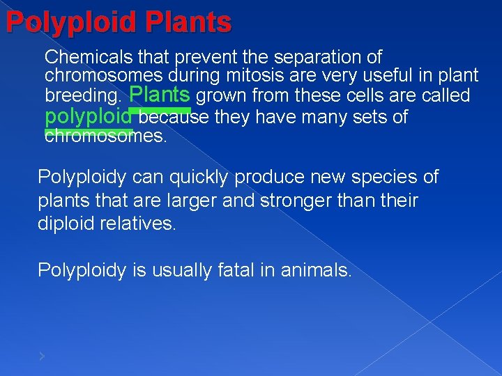 Polyploid Plants Chemicals that prevent the separation of chromosomes during mitosis are very useful
