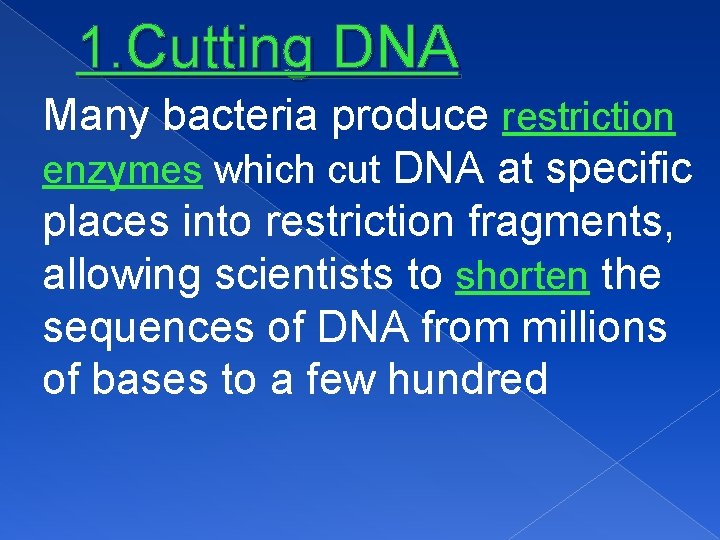 1. Cutting DNA Many bacteria produce restriction enzymes which cut DNA at specific places