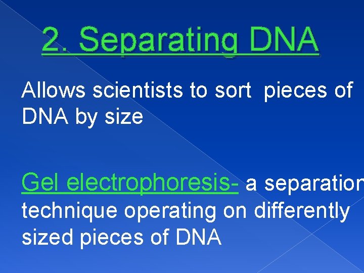 2. Separating DNA Allows scientists to sort pieces of DNA by size Gel electrophoresis-