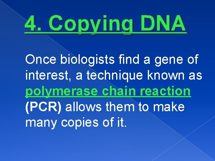 4. Copying DNA Once biologists find a gene of interest, a technique known as