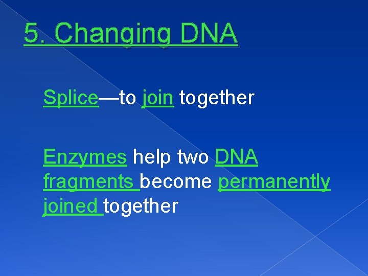 5. Changing DNA Splice—to join together Enzymes help two DNA fragments become permanently joined