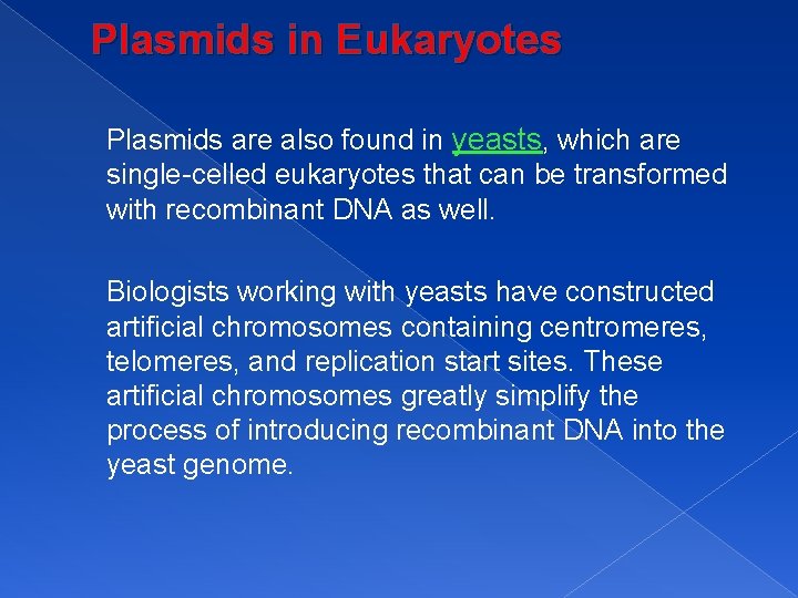 Plasmids in Eukaryotes Plasmids are also found in yeasts, which are single-celled eukaryotes that