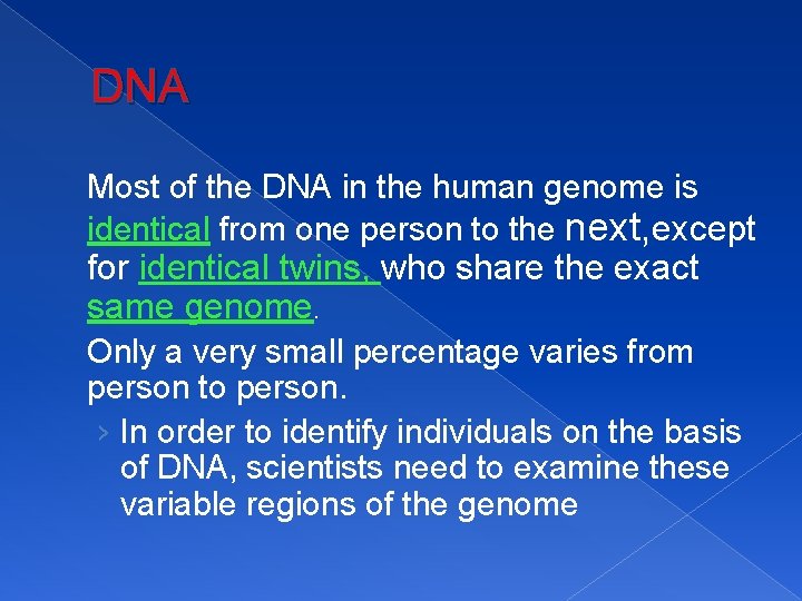 DNA Most of the DNA in the human genome is identical from one person