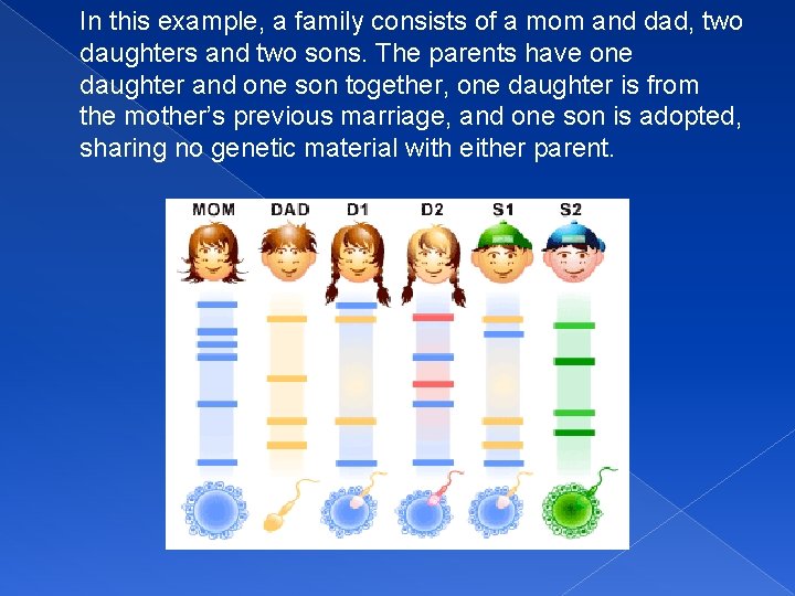 In this example, a family consists of a mom and dad, two daughters and