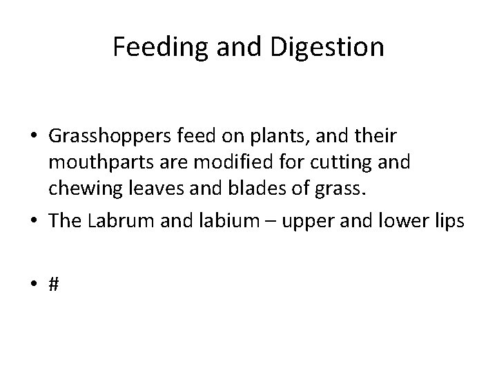 Feeding and Digestion • Grasshoppers feed on plants, and their mouthparts are modified for