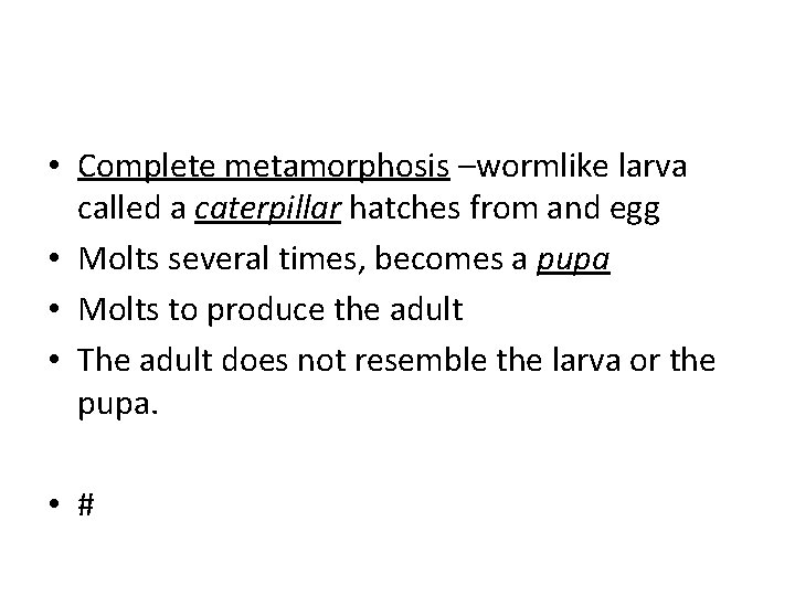  • Complete metamorphosis –wormlike larva called a caterpillar hatches from and egg •