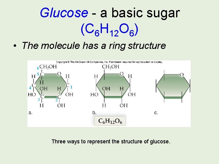 Glucose - a basic sugar (C 6 H 12 O 6) • The molecule