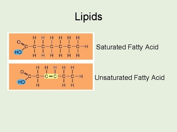 Lipids Saturated Fatty Acid Unsaturated Fatty Acid 