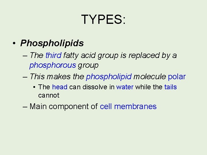 TYPES: • Phospholipids – The third fatty acid group is replaced by a phosphorous