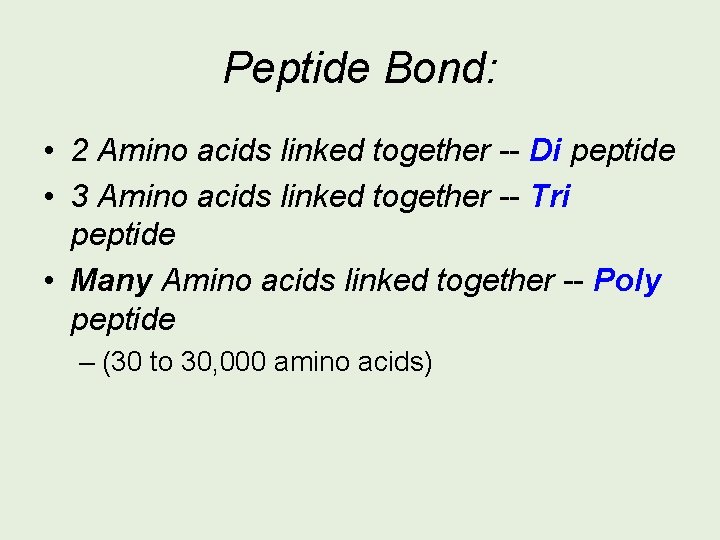 Peptide Bond: • 2 Amino acids linked together -- Di peptide • 3 Amino