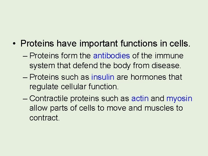  • Proteins have important functions in cells. – Proteins form the antibodies of