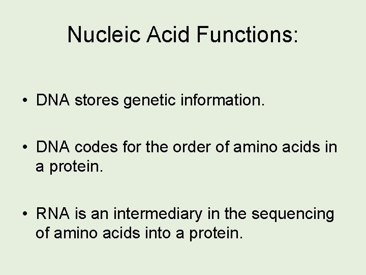 Nucleic Acid Functions: • DNA stores genetic information. • DNA codes for the order