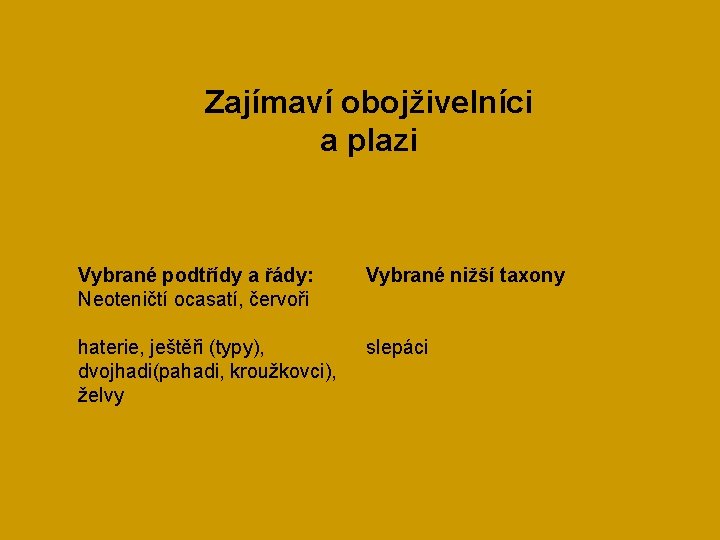 Zajímaví obojživelníci a plazi Vybrané podtřídy a řády: Neoteničtí ocasatí, červoři Vybrané nižší taxony