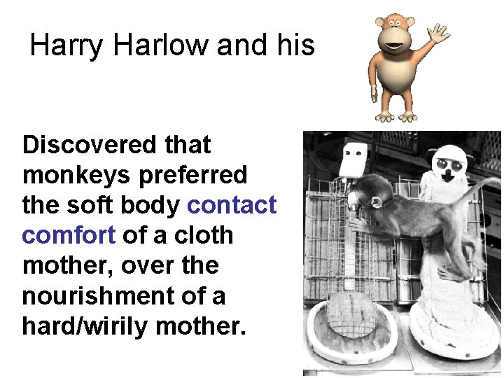 Harry Harlow and his Discovered that monkeys preferred the soft body contact comfort of
