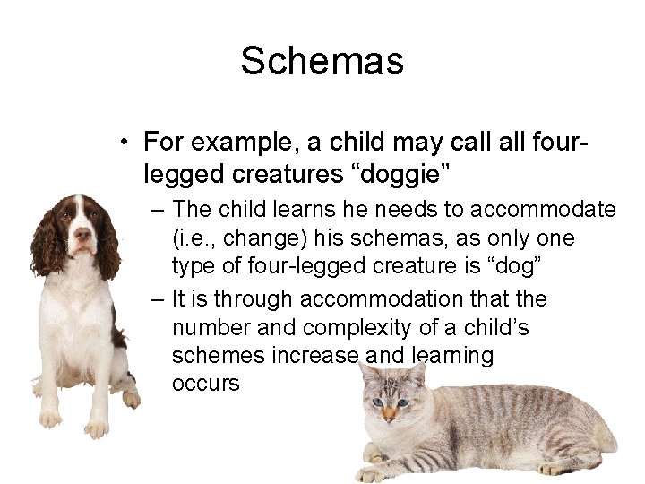 Schemas • For example, a child may call fourlegged creatures “doggie” – The child