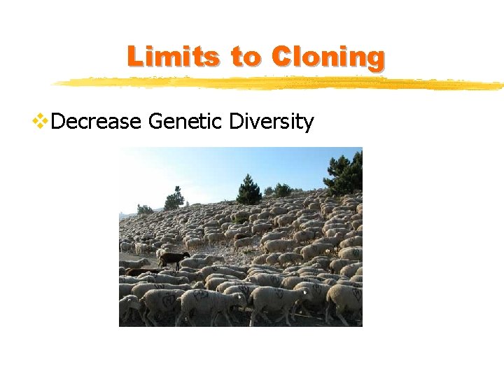 Limits to Cloning v. Decrease Genetic Diversity 
