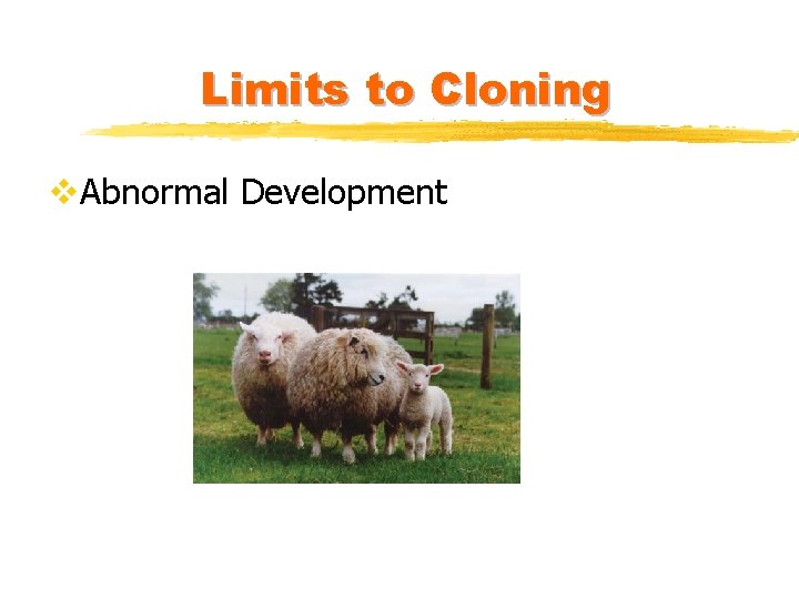 Limits to Cloning v. Abnormal Development 