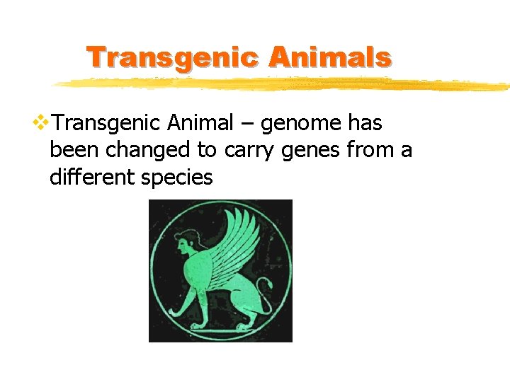 Transgenic Animals v. Transgenic Animal – genome has been changed to carry genes from
