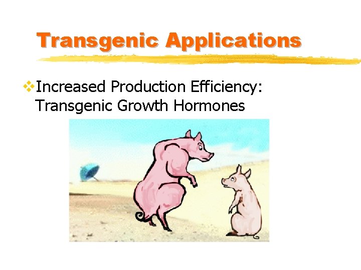 Transgenic Applications v. Increased Production Efficiency: Transgenic Growth Hormones 
