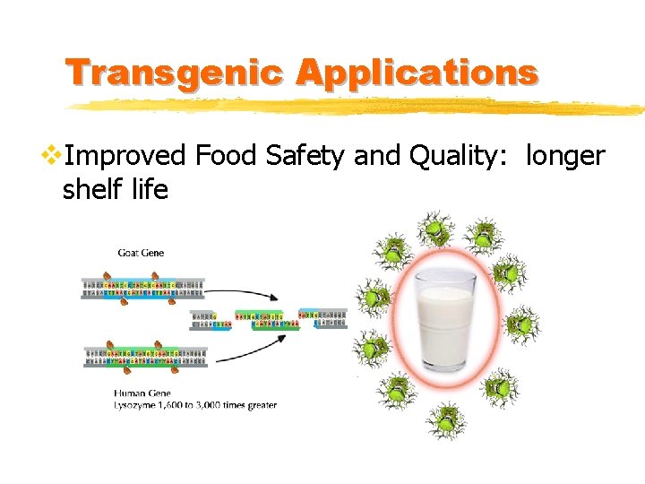 Transgenic Applications v. Improved Food Safety and Quality: longer shelf life 