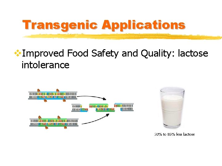 Transgenic Applications v. Improved Food Safety and Quality: lactose intolerance 