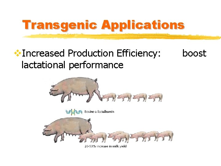 Transgenic Applications v. Increased Production Efficiency: lactational performance boost 