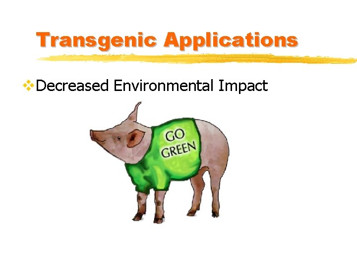 Transgenic Applications v. Decreased Environmental Impact 