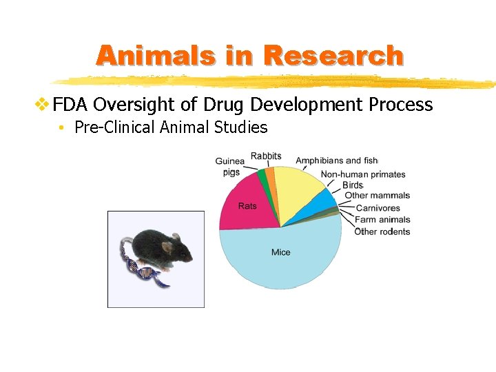 Animals in Research v FDA Oversight of Drug Development Process • Pre-Clinical Animal Studies