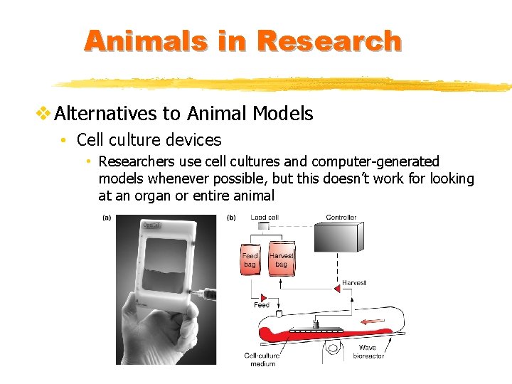 Animals in Research v Alternatives to Animal Models • Cell culture devices • Researchers