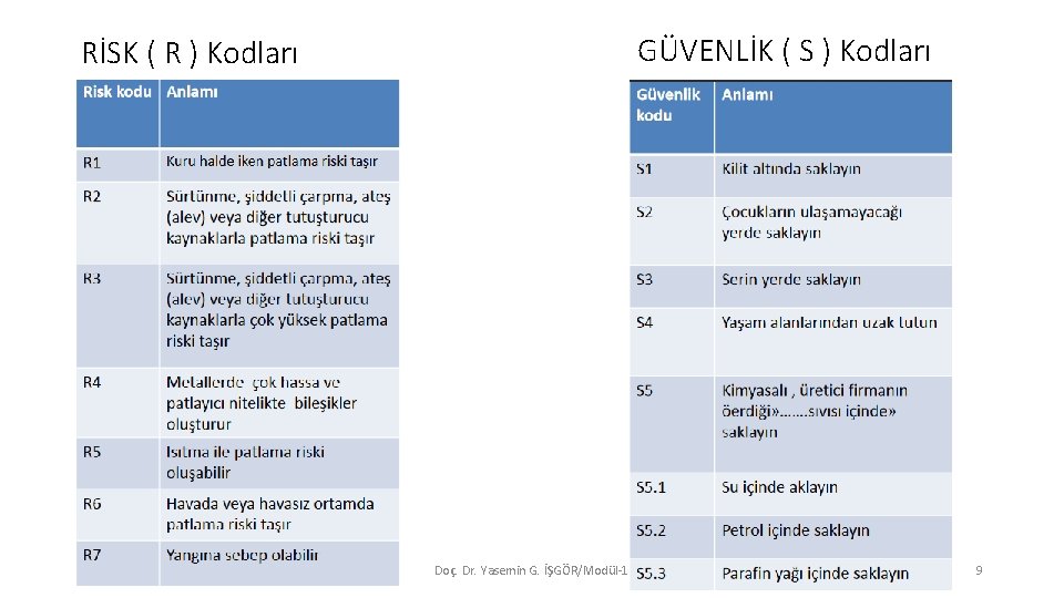 GÜVENLİK ( S ) Kodları RİSK ( R ) Kodları Doç. Dr. Yasemin G.