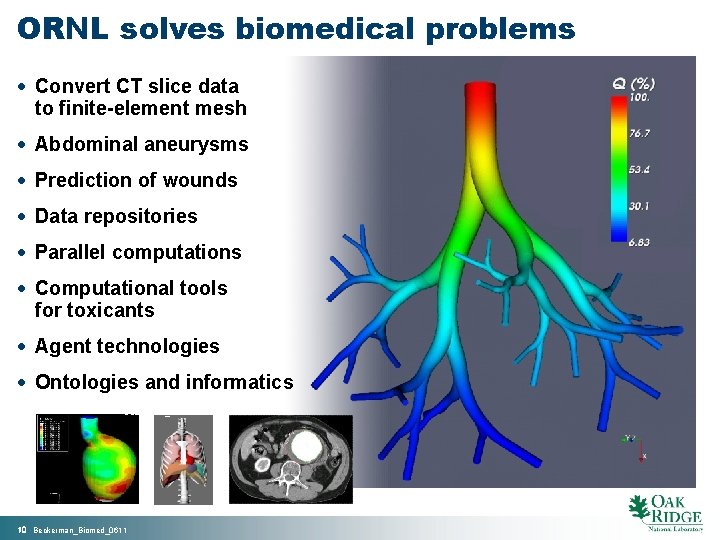 ORNL solves biomedical problems · Convert CT slice data to finite-element mesh · Abdominal