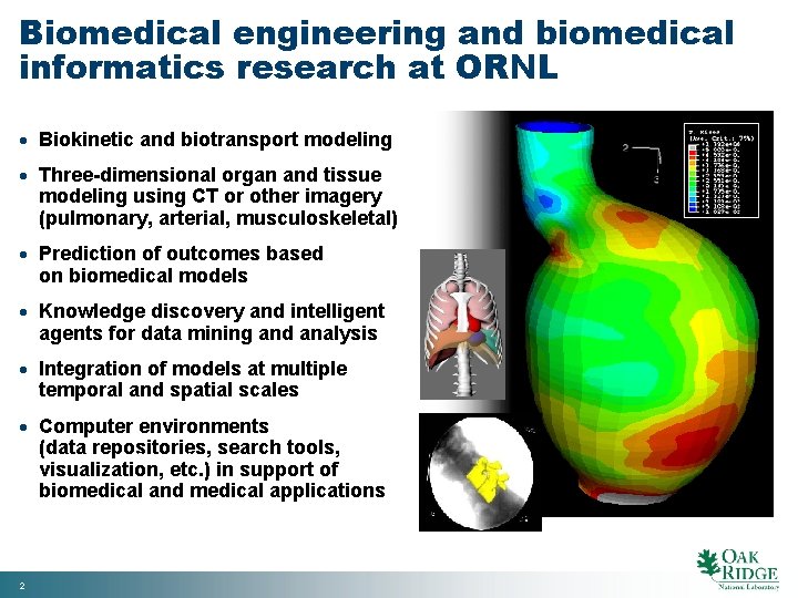 Biomedical engineering and biomedical informatics research at ORNL · Biokinetic and biotransport modeling ·