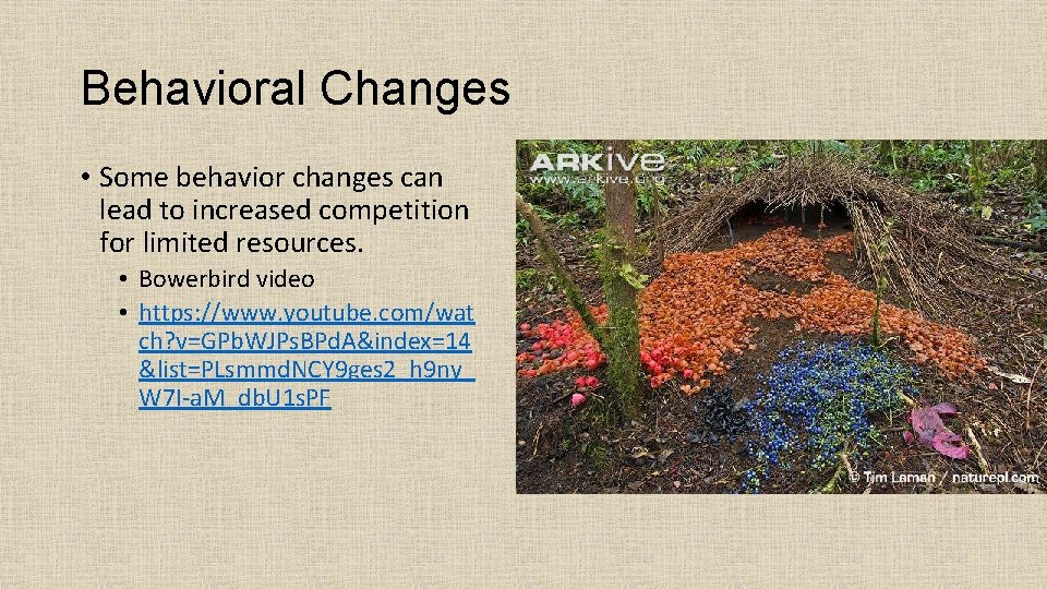 Behavioral Changes • Some behavior changes can lead to increased competition for limited resources.