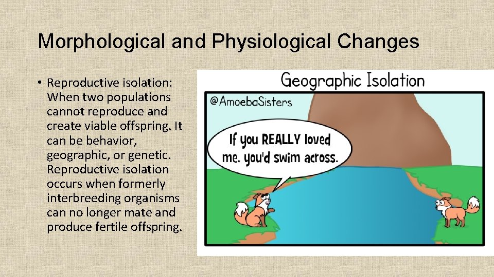 Morphological and Physiological Changes • Reproductive isolation: When two populations cannot reproduce and create