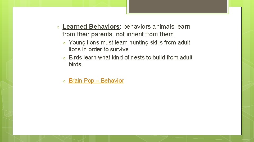 ○ Learned Behaviors: behaviors animals learn from their parents, not inherit from them. ○