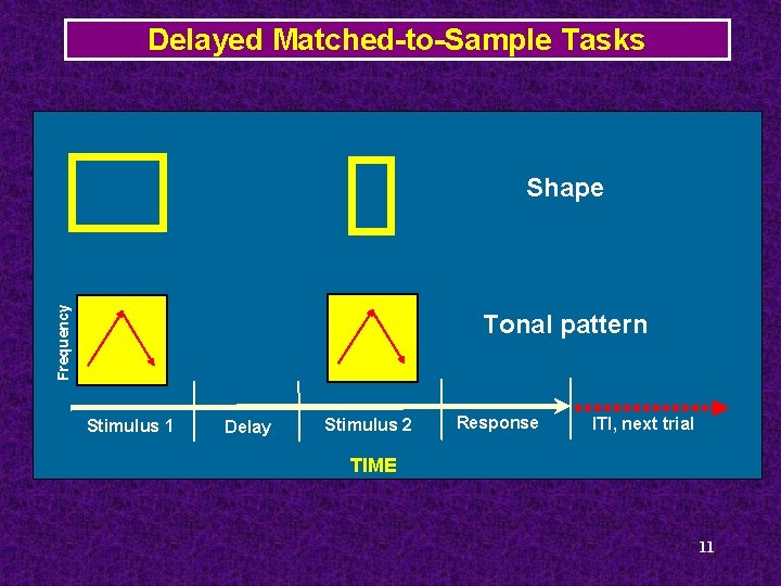 Delayed Matched-to-Sample Tasks Frequency Shape Tonal pattern Stimulus 1 Delay Stimulus 2 Response ITI,