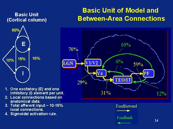 Basic Unit (Cortical column) Basic Unit of Model and Between-Area Connections 60% E 10%