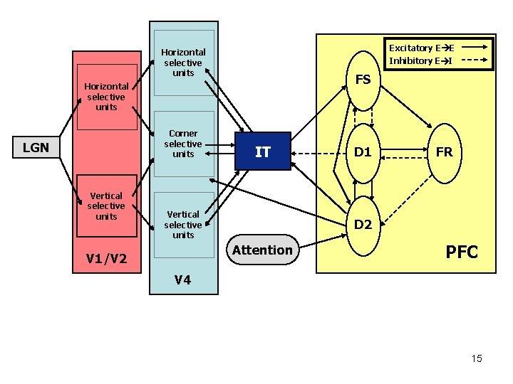 Excitatory E E Horizontal selective units Inhibitory E I FS Horizontal selective units Corner