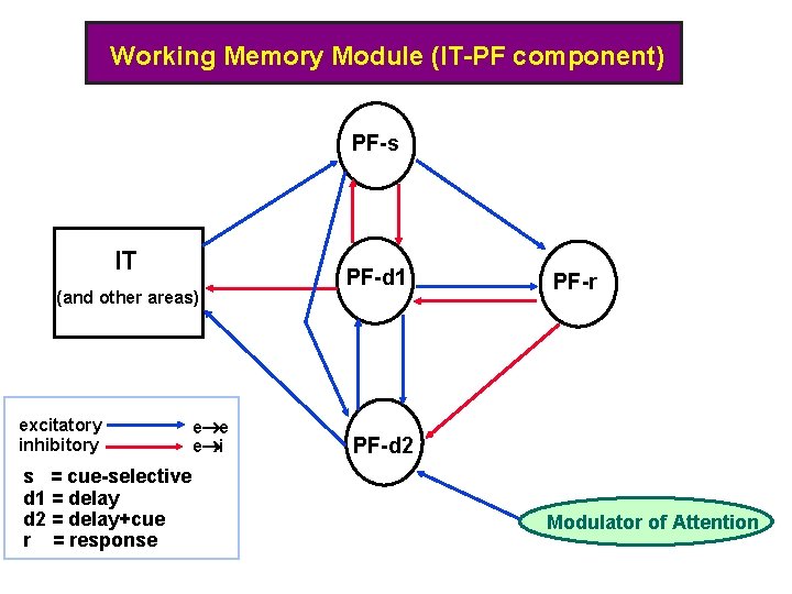 Working Memory Module (IT-PF component) PF-s IT (and other areas) excitatory inhibitory s =