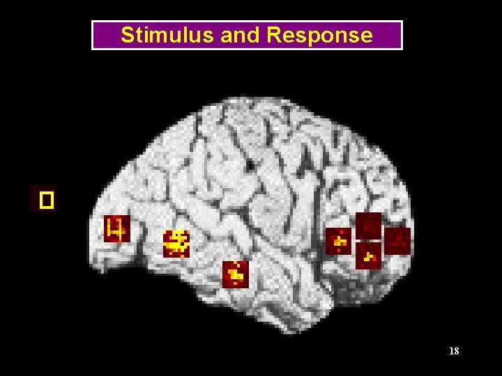 Stimulus and Response 18 