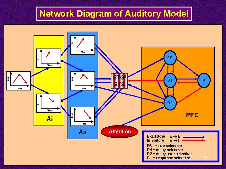 Freq Network Diagram of Auditory Model Up Selective Units Time Up Selective Units FS