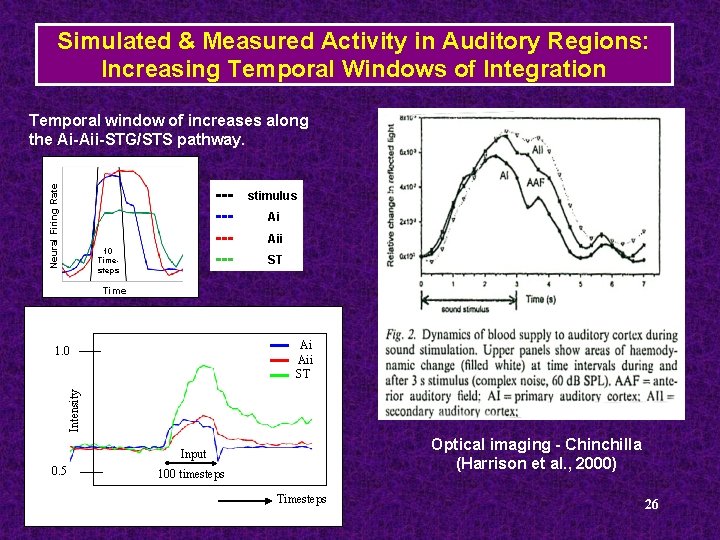 Simulated & Measured Activity in Auditory Regions: Increasing Temporal Windows of Integration Neural Firing