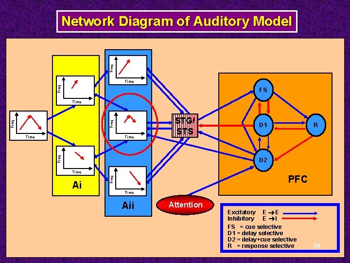 Freq Network Diagram of Auditory Model Up Selective Units Time Up Selective Units FS