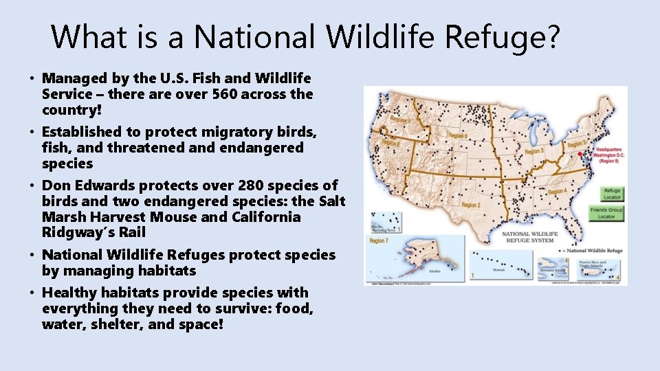 What is a National Wildlife Refuge? • Managed by the U. S. Fish and