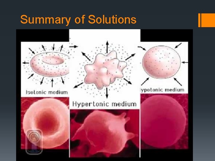 Summary of Solutions 